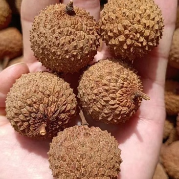 高州特级桂味荔枝干2022年新货桂味干香味浓干度足够