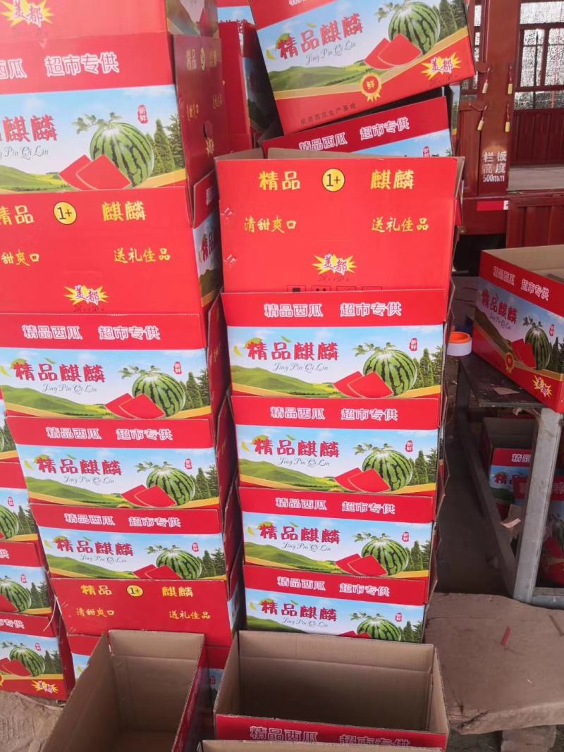 甘肃台商美都无籽糖份高，爽脆可口皮薄肉多，欢迎全国客商超