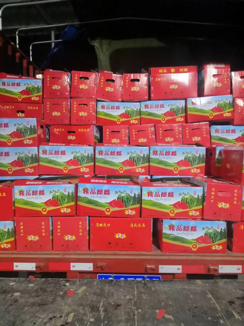 甘肃台商美都无籽糖份高，爽脆可口皮薄肉多，欢迎全国客商超