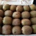 秦美猕猴桃，货源充足100---200克果园直供货：现货