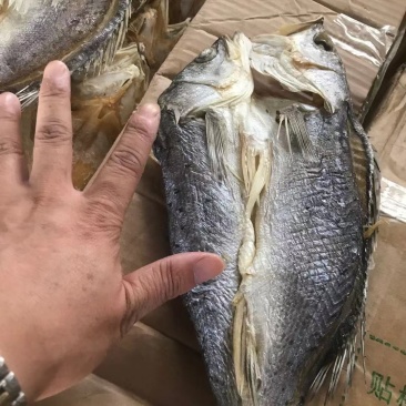 开背鲈鱼干清理干净，肉多刺少赚回头客的产品