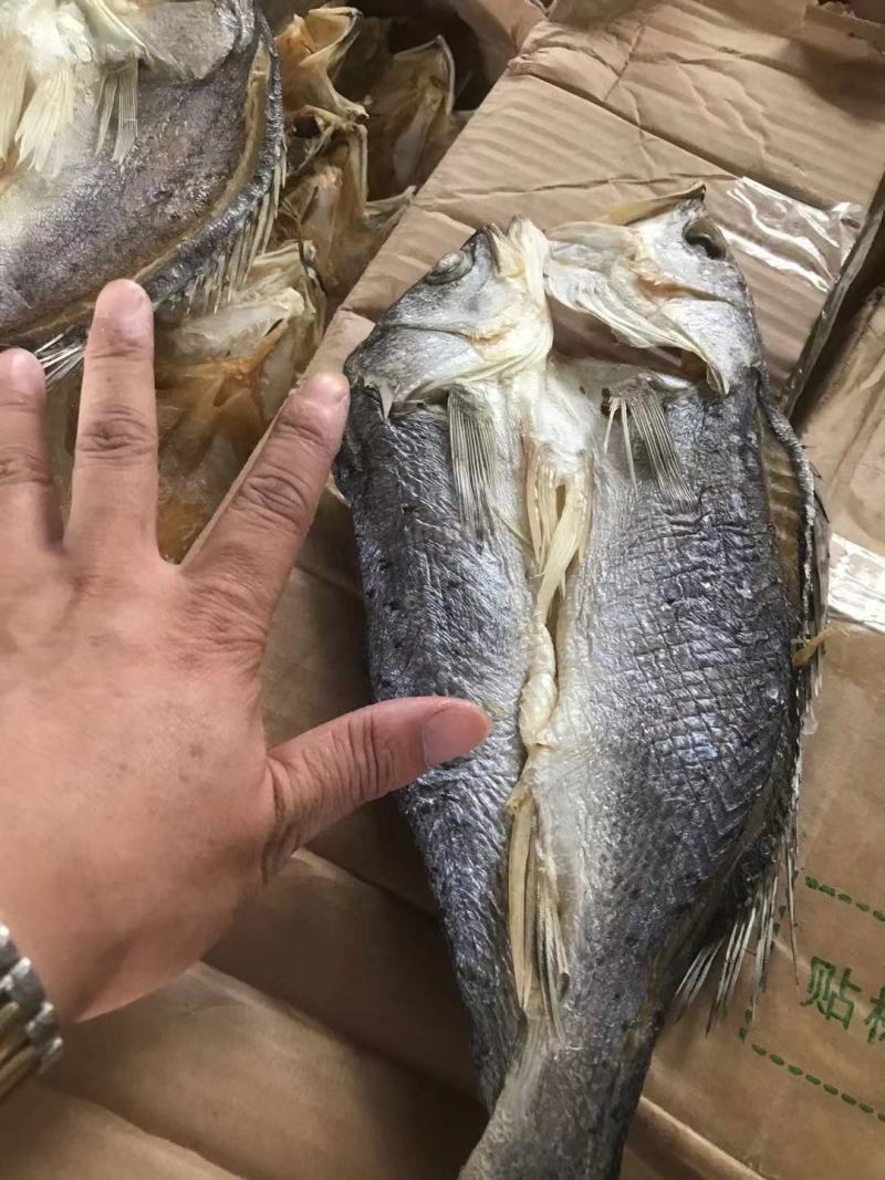 开背鲈鱼干清理干净，肉多刺少赚回头客的产品