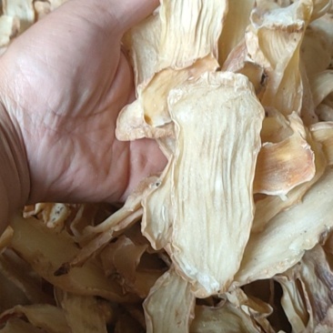 干天麻片丶无硫天麻片丶红天麻片产地直销，可一件代发