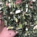 益母草野生新货益母草童子益母草大花小花益母草色青无杂