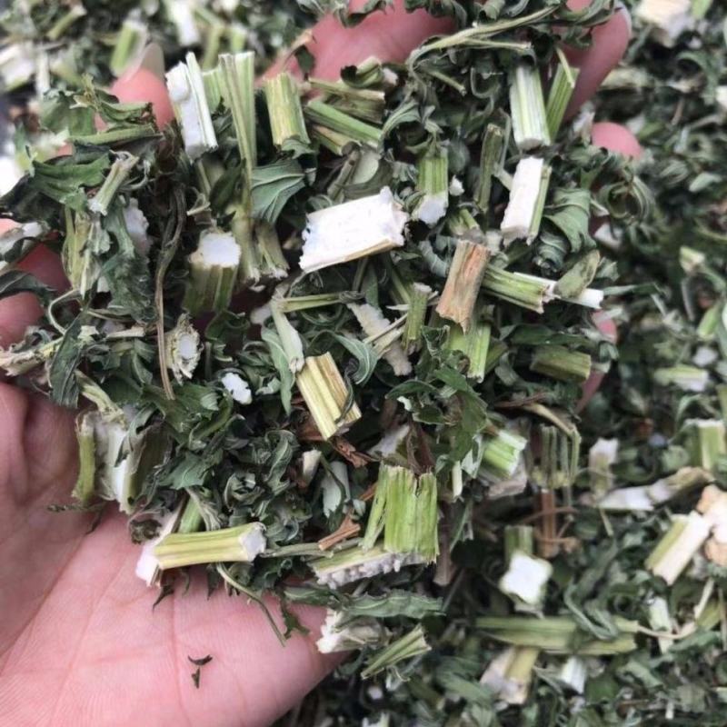 益母草野生新货益母草童子益母草大花小花益母草色青无杂