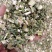 益母草野生新货益母草童子益母草大花小花益母草色青无杂