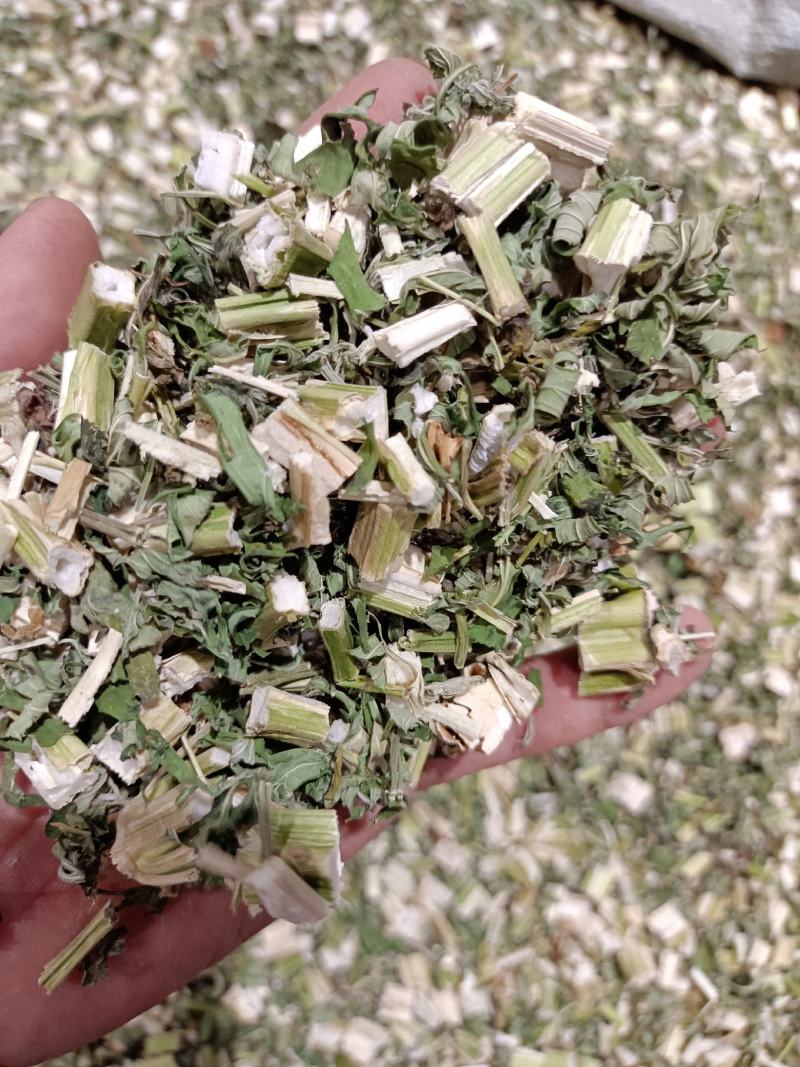益母草野生新货益母草童子益母草大花小花益母草色青无杂
