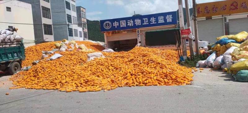 玉米