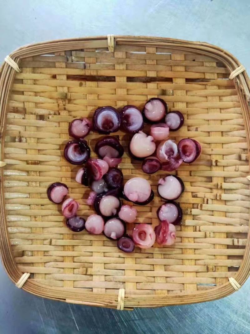 [推荐]海灵菇辣炒冷冻新鲜延边特色章鱼腕足海鲜