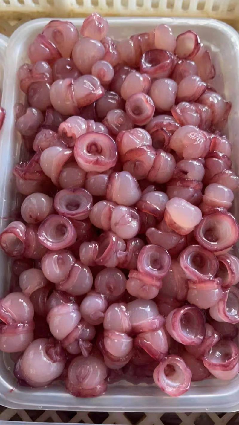 [推荐]海灵菇辣炒冷冻新鲜延边特色章鱼腕足海鲜