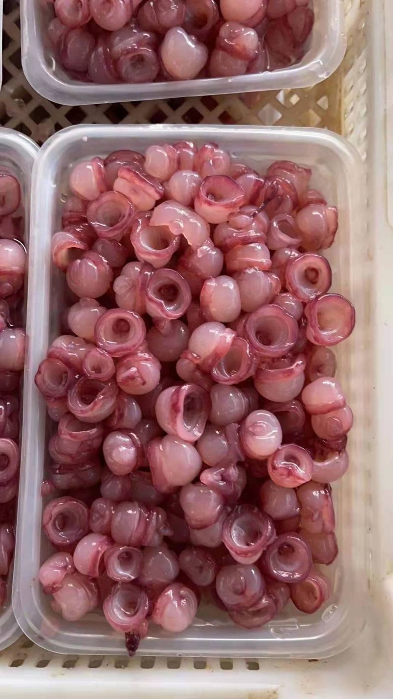 [推荐]海灵菇辣炒冷冻新鲜延边特色章鱼腕足海鲜