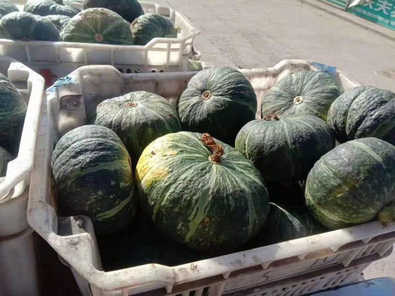 山西板栗南瓜大量上市，量大从优，品质保障，全国发货