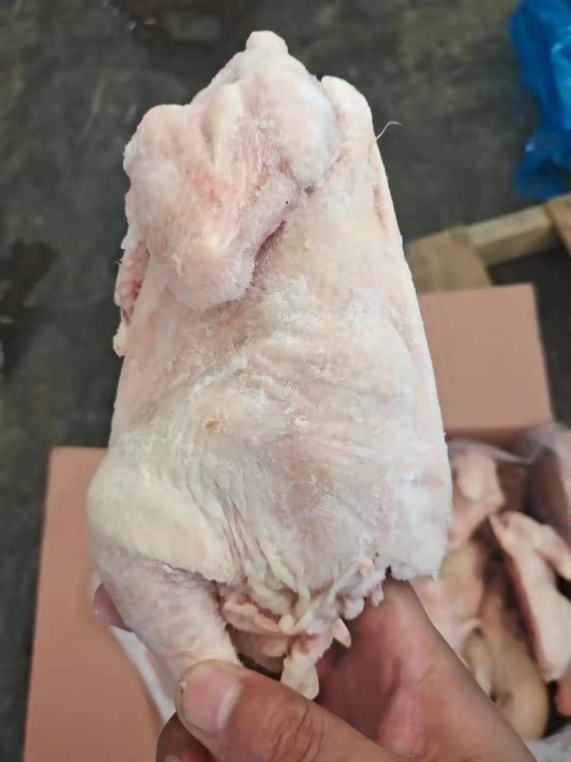 半片鸡，10公斤箱装，一级品