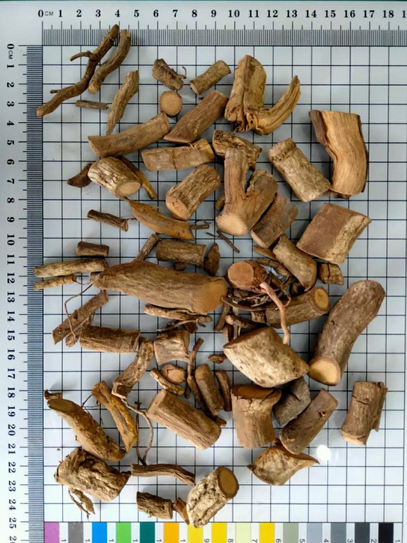 黑老虎干货冷背药材干净无杂质量大从优欢迎选购