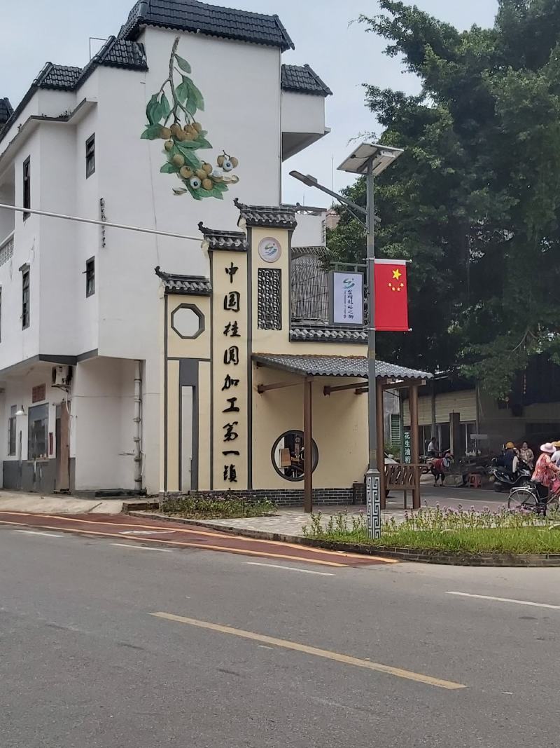 高州龙眼肉桂圆肉石硖龙眼储良龙眼