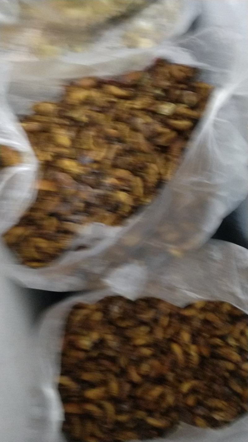 金蝉