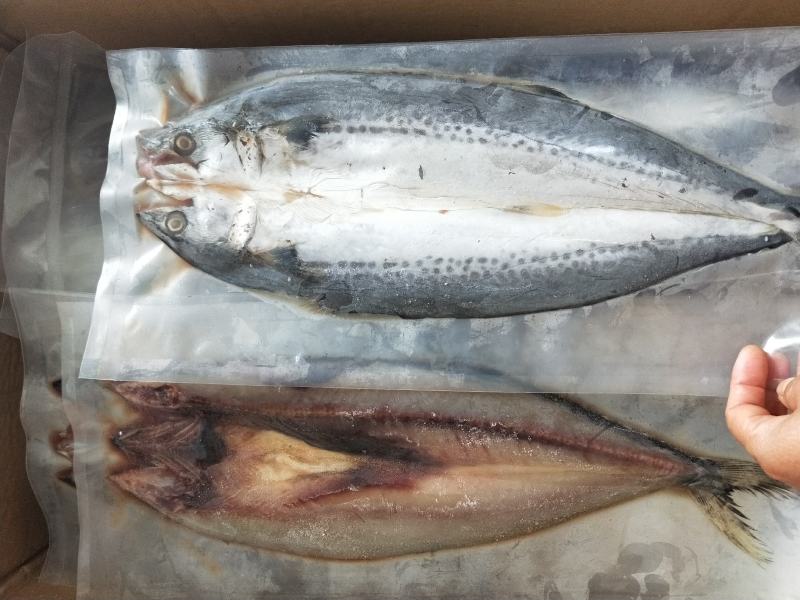 燕尾鲅鱼咸鱼干真空包装！1箱29斤左右支持一件代发不包邮