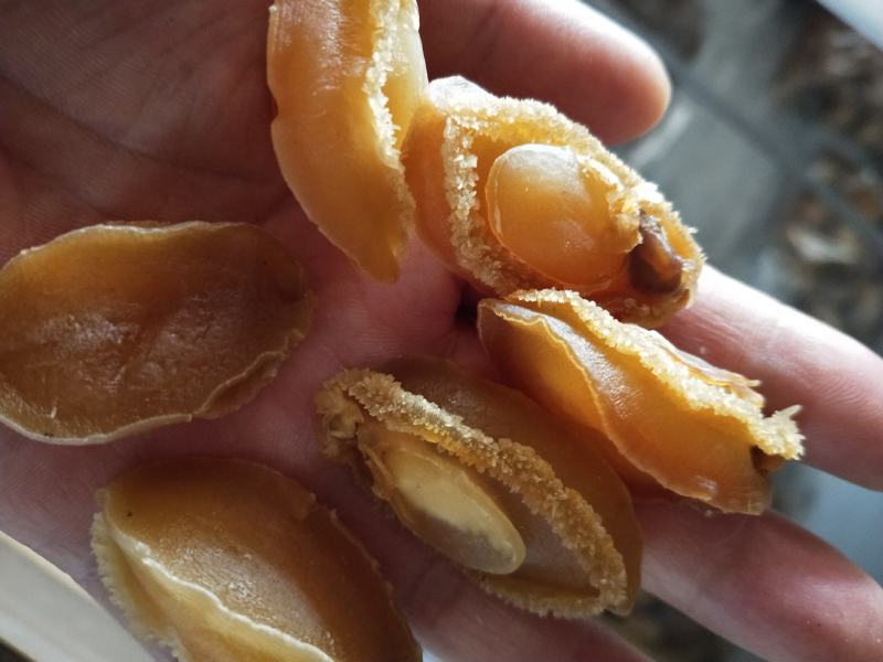 鲍鱼肉干十足干度上等货常年有货一手货源不包邮支持一件代发
