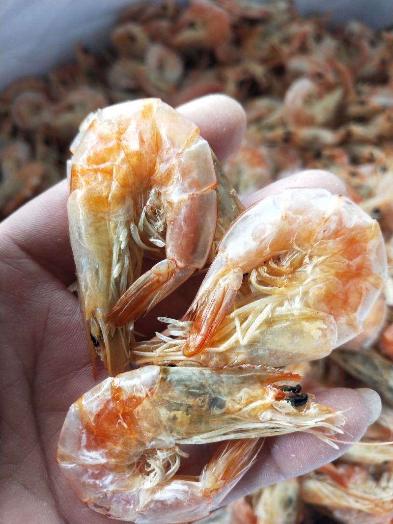 南美白炭烤虾虾干！自家加工新货干度好有嚼劲一手货源不包邮