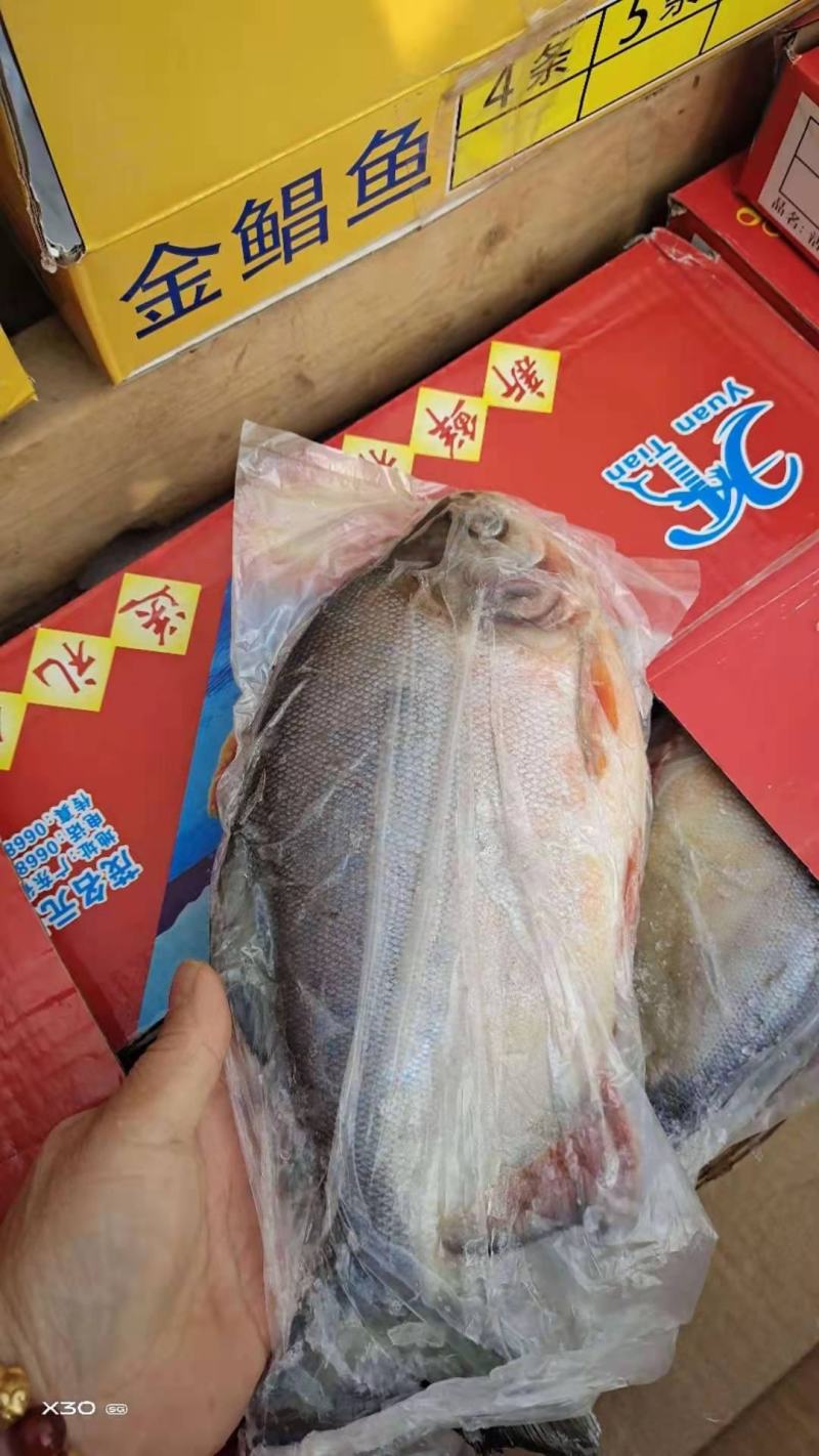 红鲳鱼鲜活速冻及时1箱6斤，4种规格一手货源不包邮