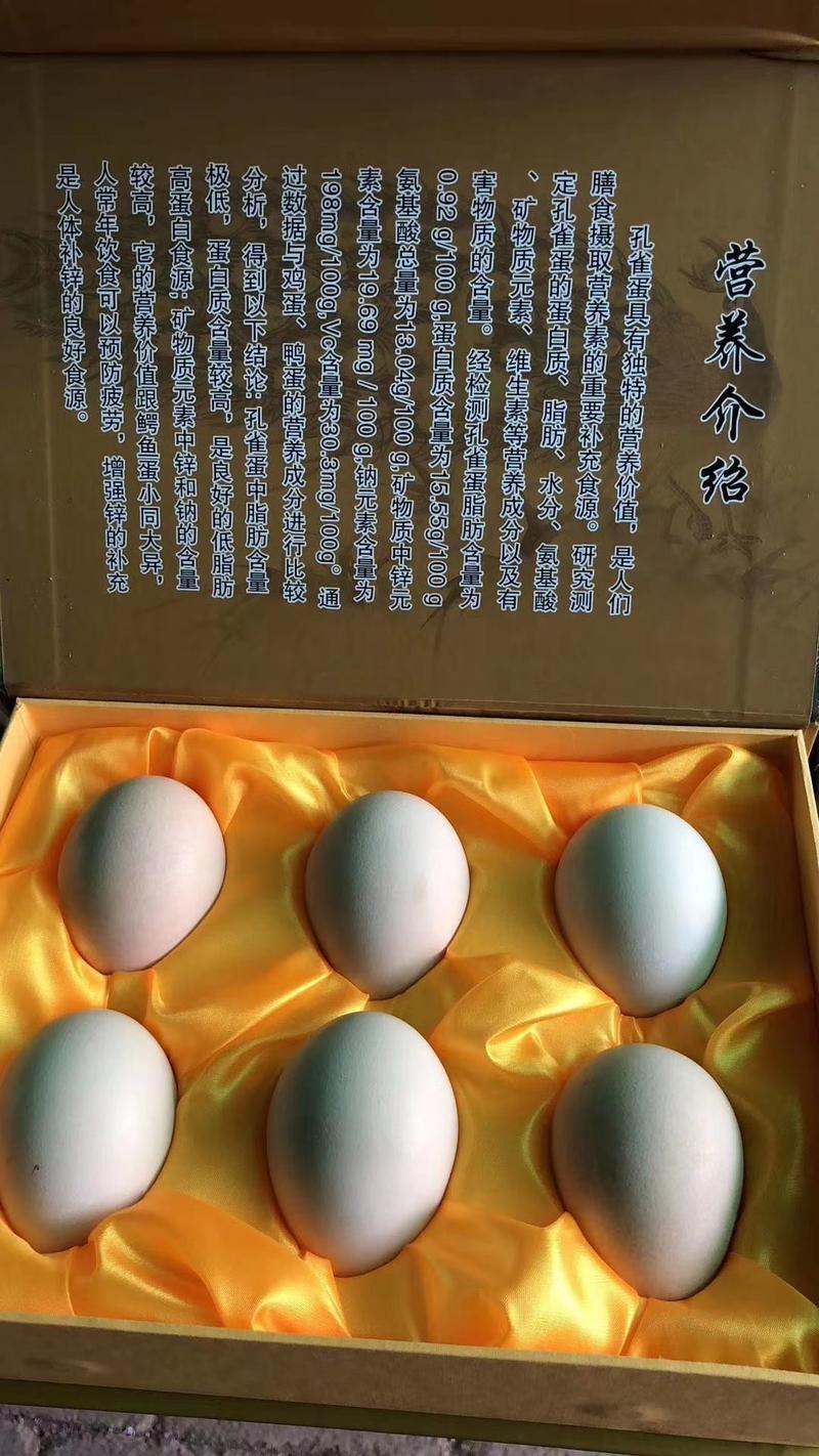孔雀蛋食用蛋孔雀受精蛋可孵化小孔雀营养更充分