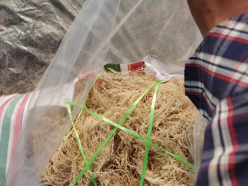 山东滕州优质龙须菜一手货源17斤干菜55斤半干菜特价销售