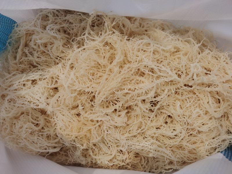 山东滕州优质龙须菜一手货源17斤干菜55斤半干菜特价销售