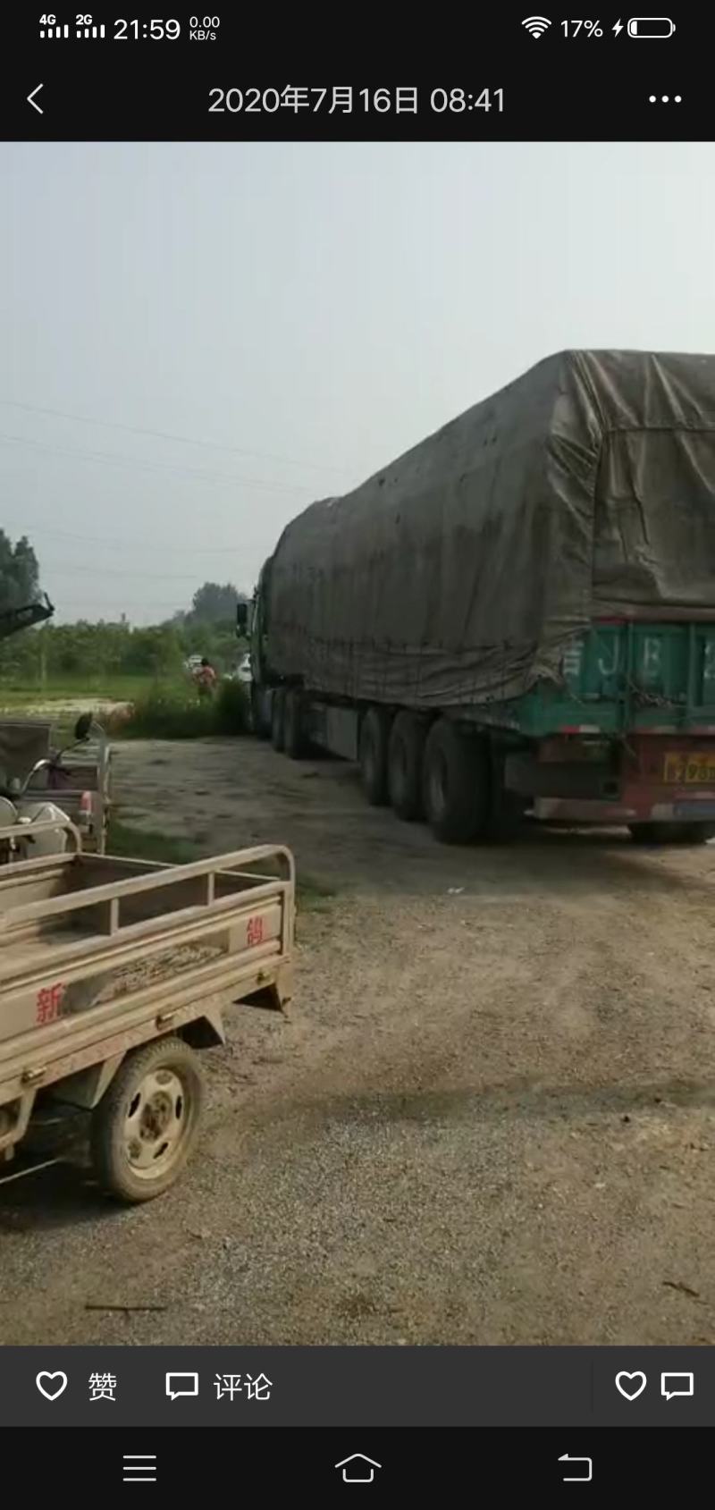 桃清桃