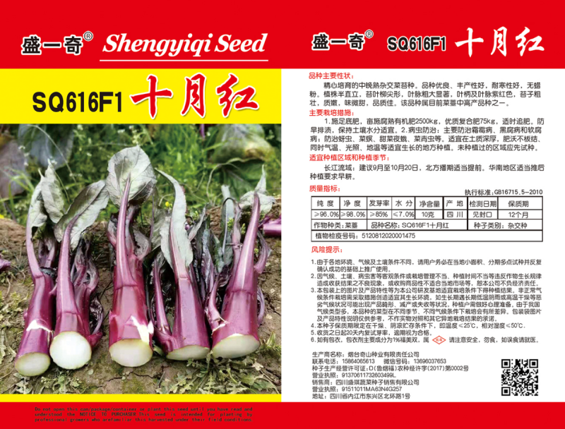 SQ616F1十月红中晚熟紫菜苔种子粗菜苔基地秋季栽培
