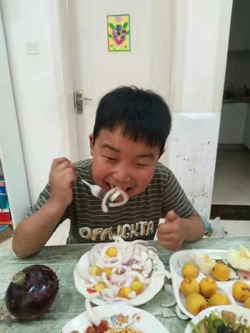 极早赤珠杂交一代扁厚型紫红亮丽，亩产1.2万斤