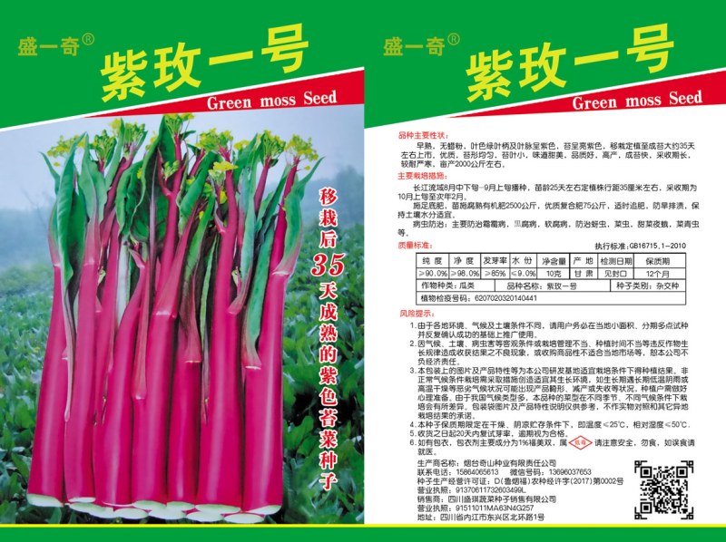 紫玫瑰一号小叶亮红紫菜苔种子早熟耐寒肉淡绿红菜苔种子