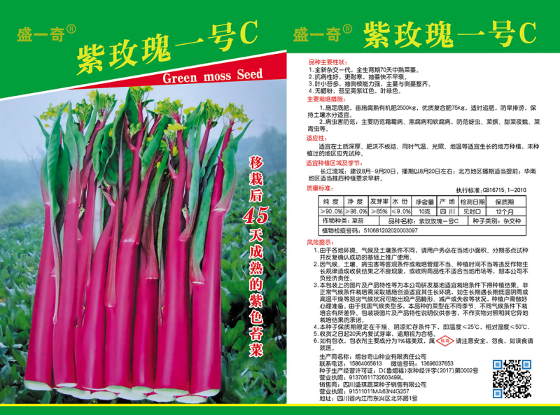 紫玫瑰一号C小叶亮红紫菜苔种子菜苔基地种植红菜苔种子批发