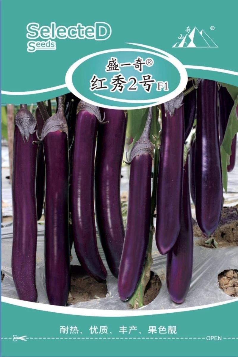 盛一奇红秀2号紫红烧烤茄种子短棒茄子耐热性好春秋栽培