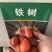 铁树种子室内四季庭院凤尾蕉巴西铁树子苏铁种子