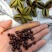 芍药种子四季开花易活室内外花卉盆栽庭院赛牡丹重瓣芍药花种