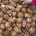精品芋头，芋头，芋头8520，8520货源充足一手货源