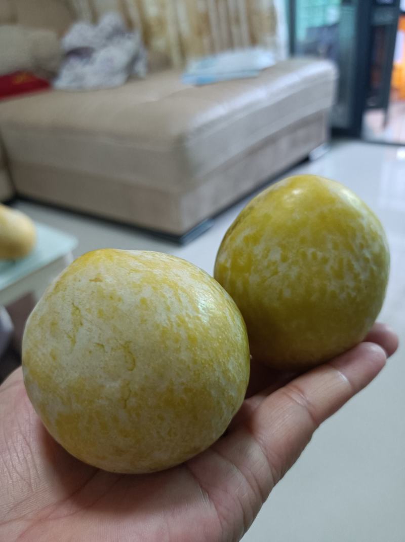 炎陵奈李