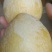 炎陵奈李