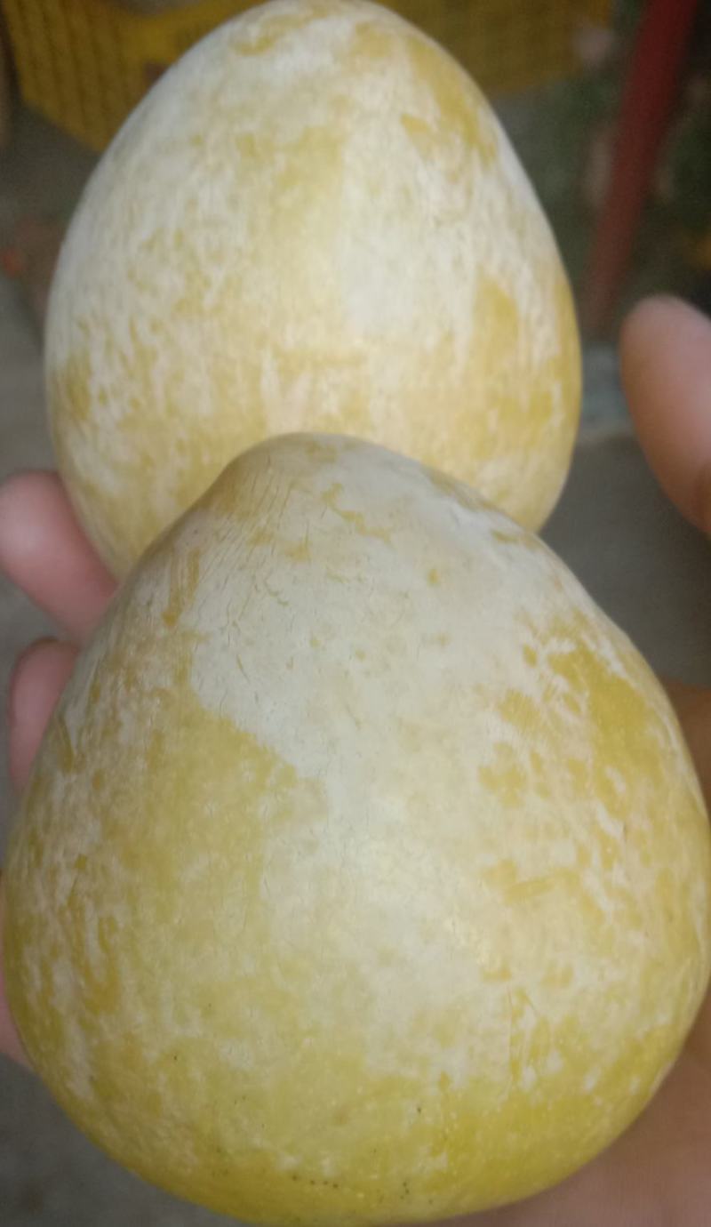 炎陵奈李
