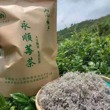 湖南永顺县合亲村，无公害有机霉茶。