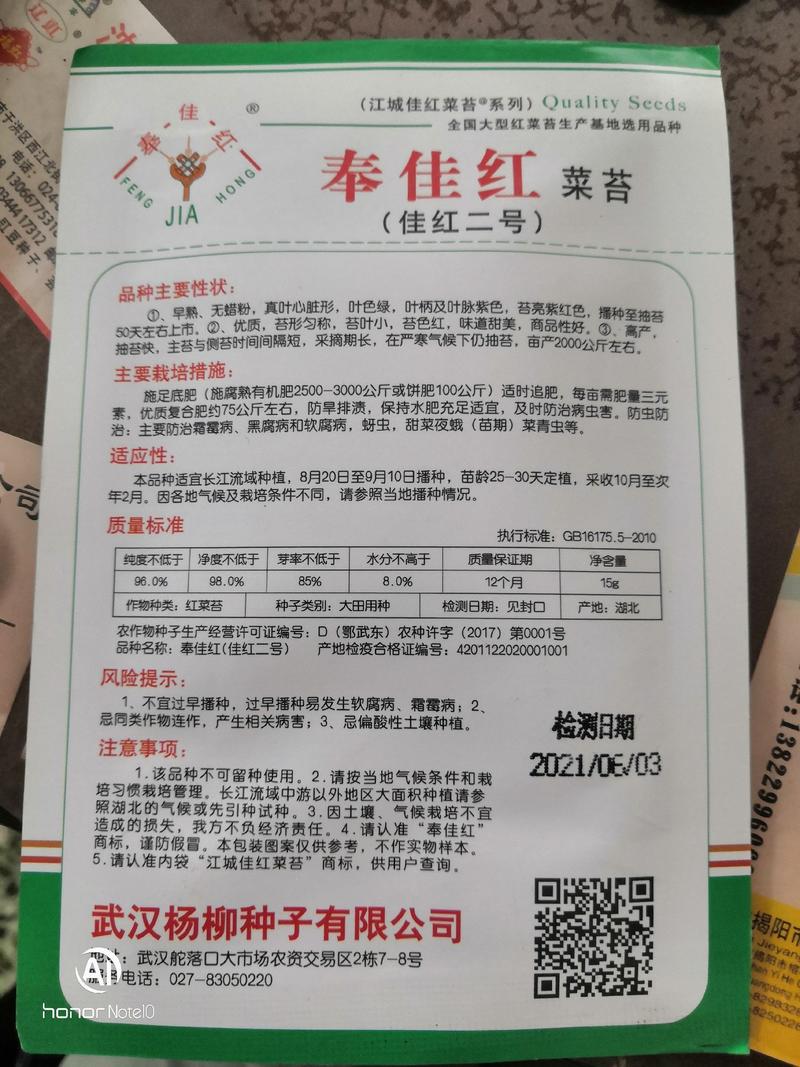 【奉佳红】佳红二号红菜苔种子，江城家红菜苔种子系列品种