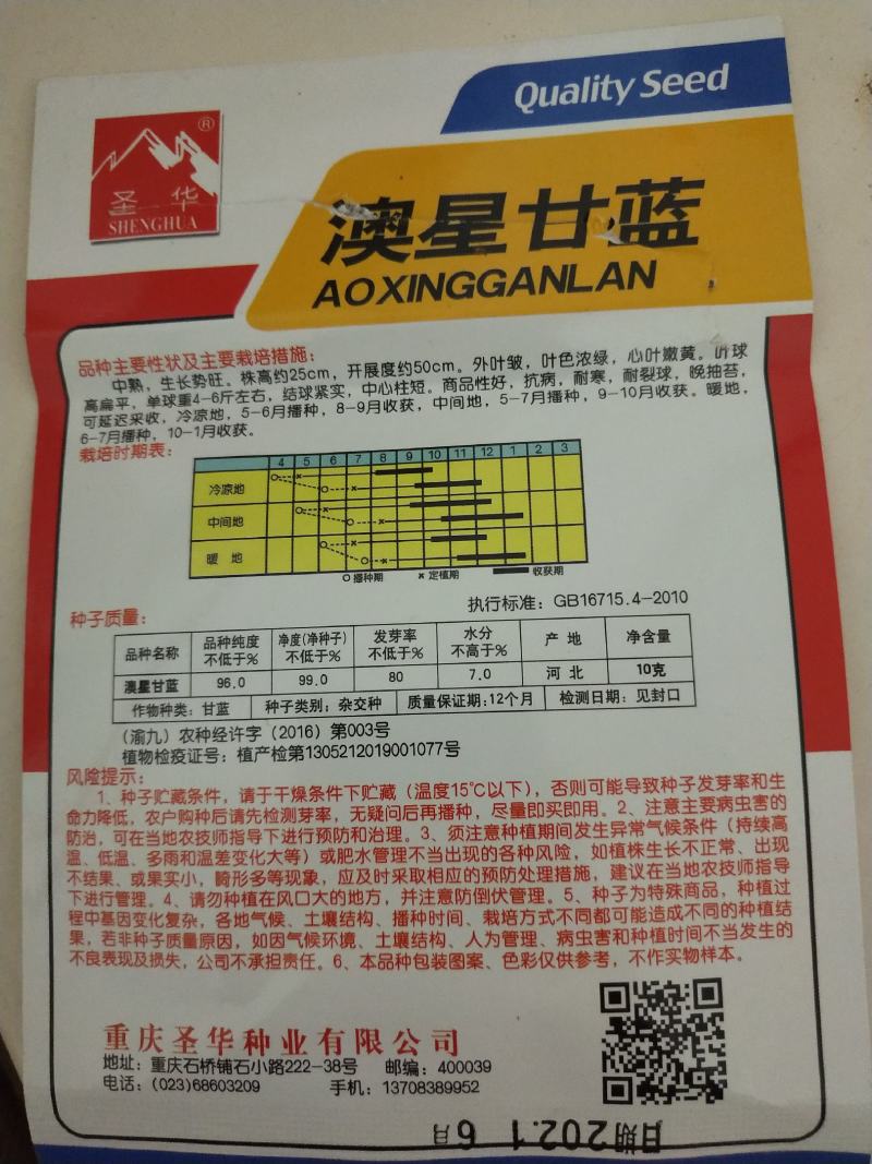 白菜苗，本地脆白菜，基地直供，保值保量，量大从优，可回收