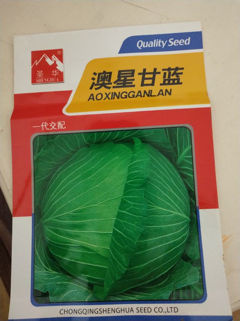 白菜苗，本地脆白菜，基地直供，保值保量，量大从优，可回收