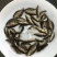 鸭绿江源头斑鳜鱼苗大量批发批发空运到家安全省事