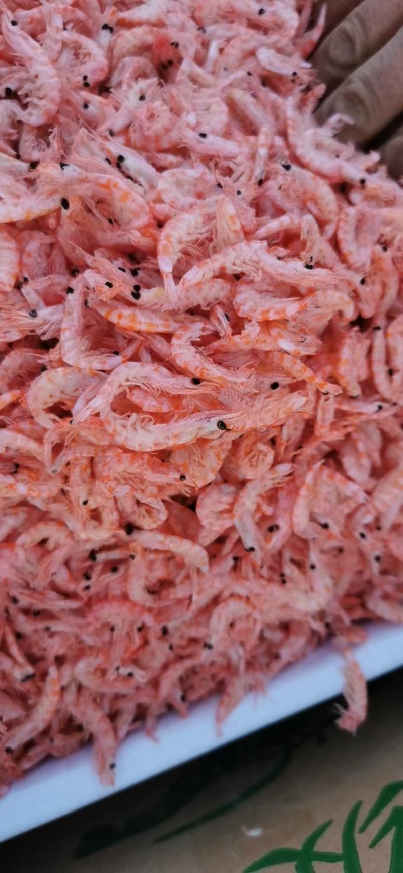 网红特卖……南极磷虾。磷虾米