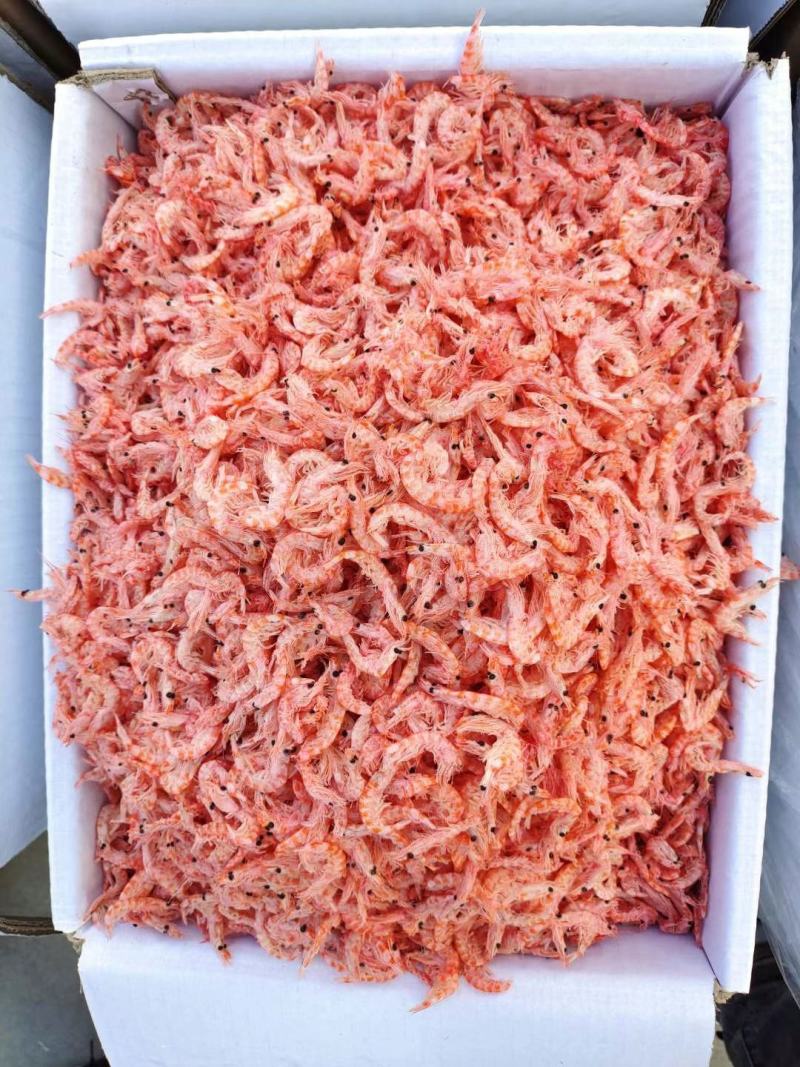 网红特卖……南极磷虾。磷虾米