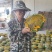 2021现摘现发新鲜葵花盘