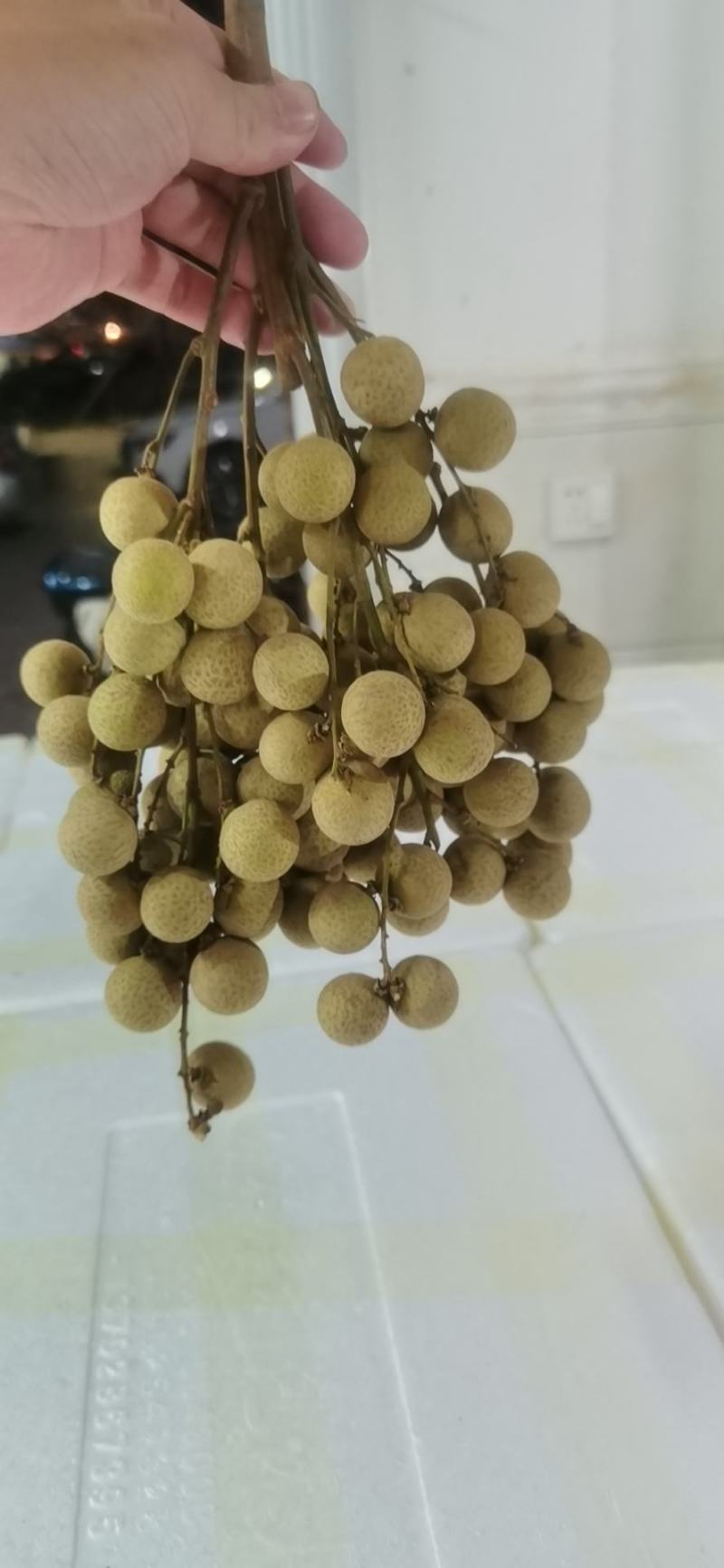 龙眼石硖储良