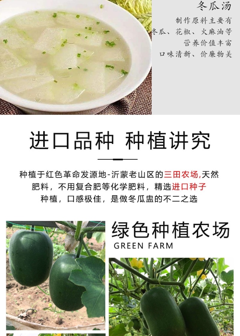 迷你小冬瓜水果冬瓜冬瓜盅进口品种大量上市