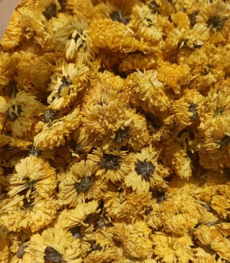 黄菊花统装500g产地安徽振兴药材购销站量大从优